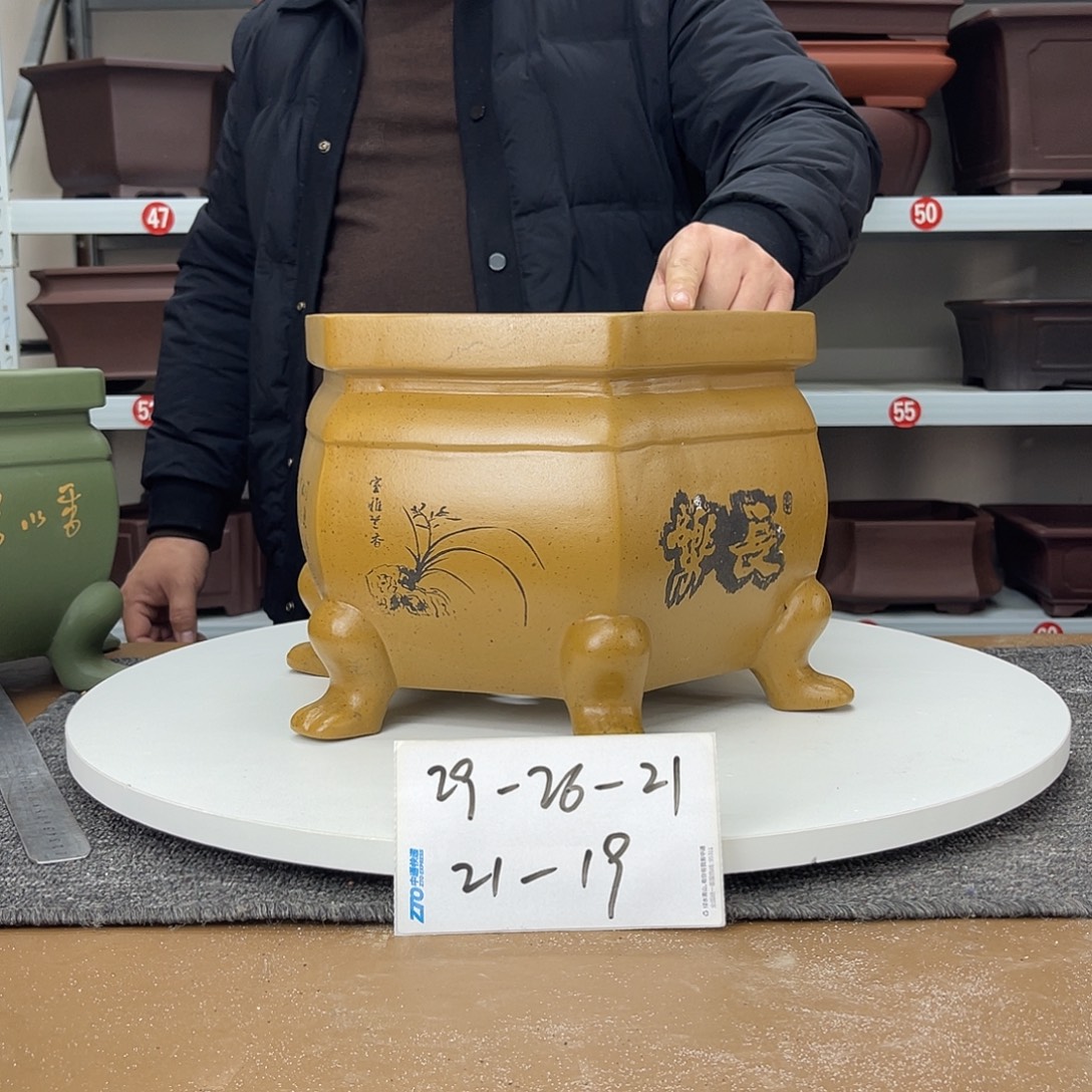 花盆紫砂在上世纪