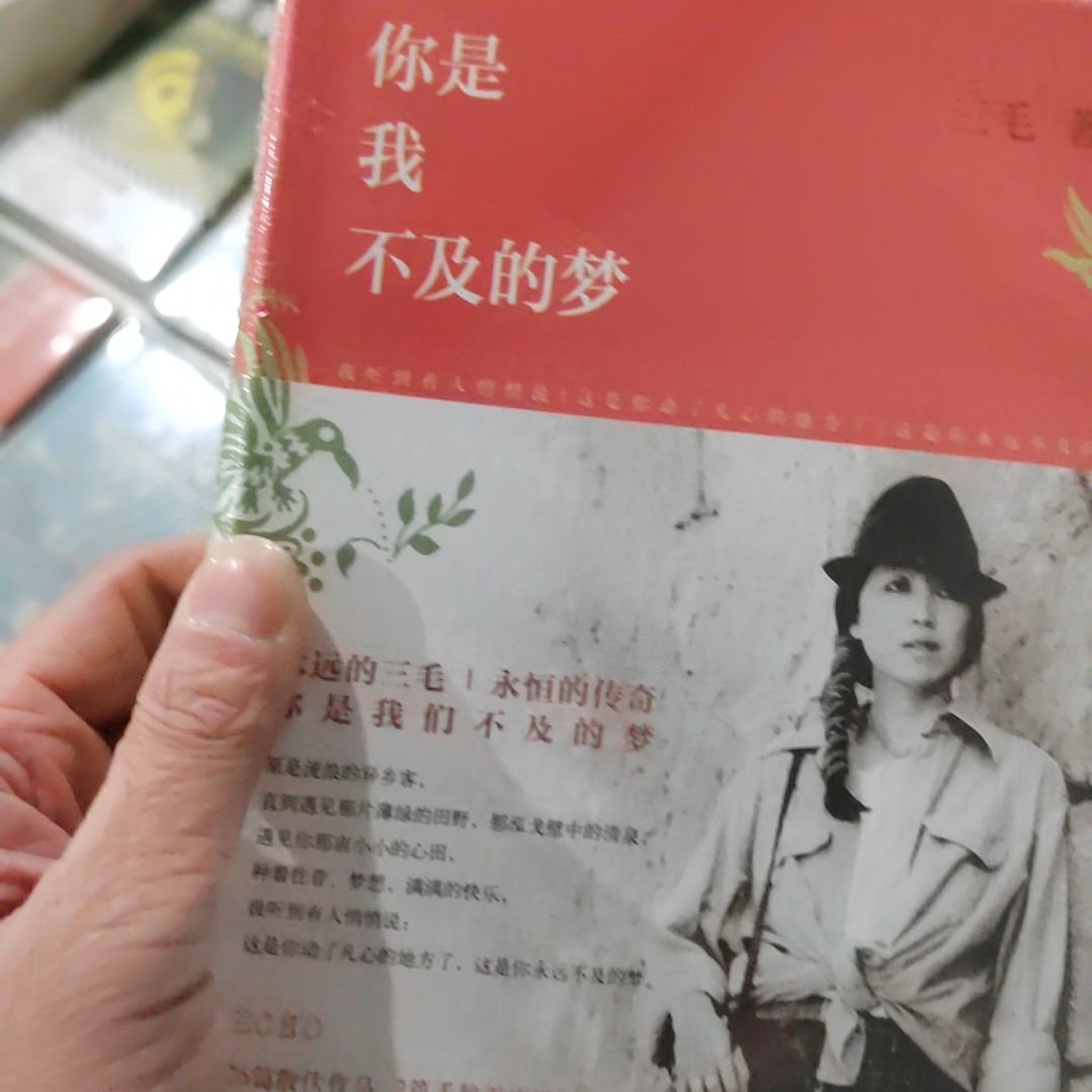 三毛你是我不及的梦