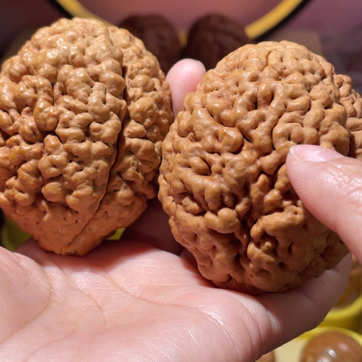 桃核把件疙瘩龙金刚菩提