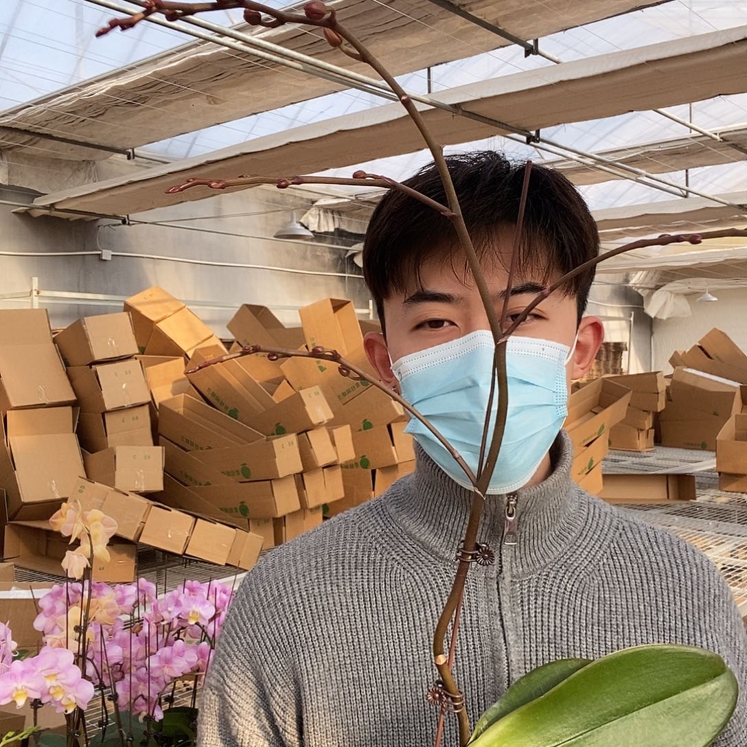 完全开放神仙姐姐消苞