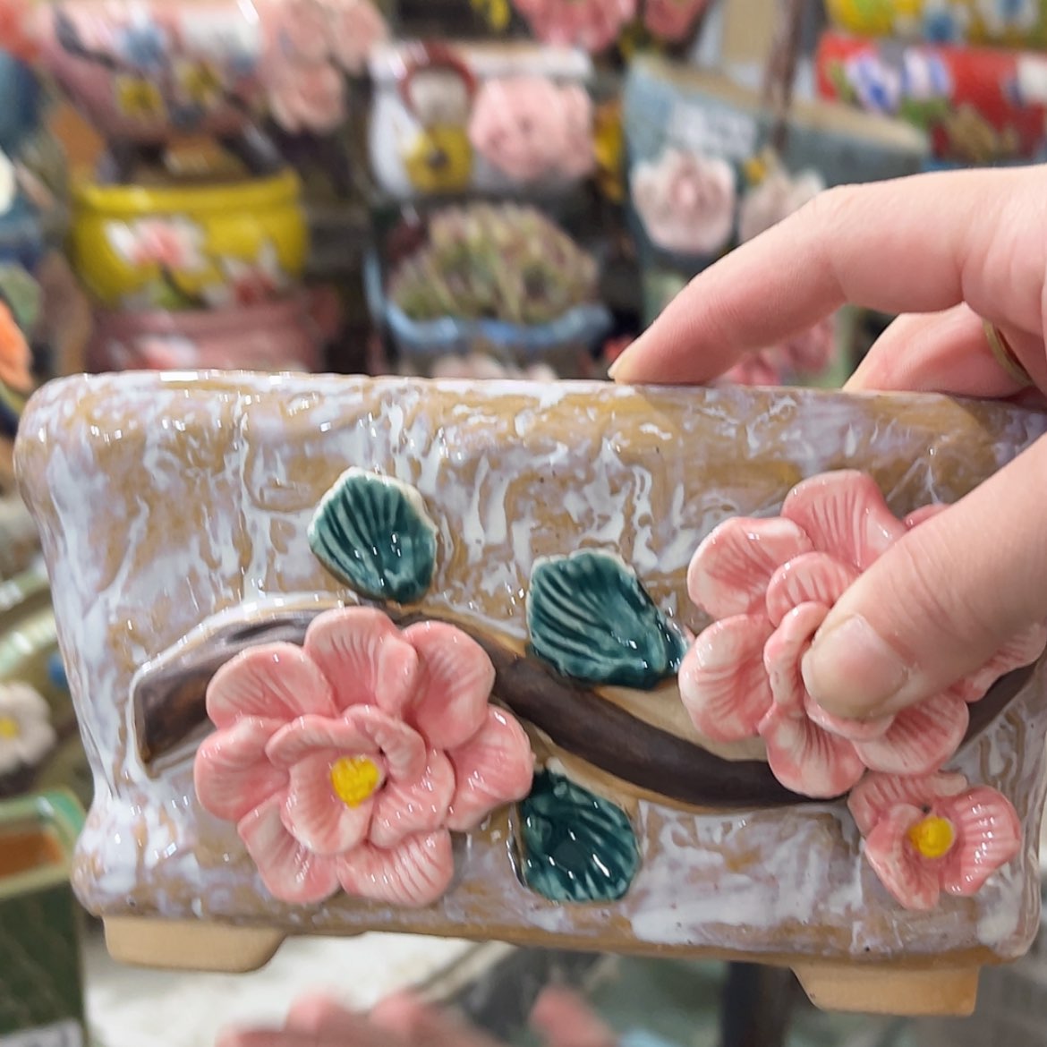 【闪购商品】红陶福利