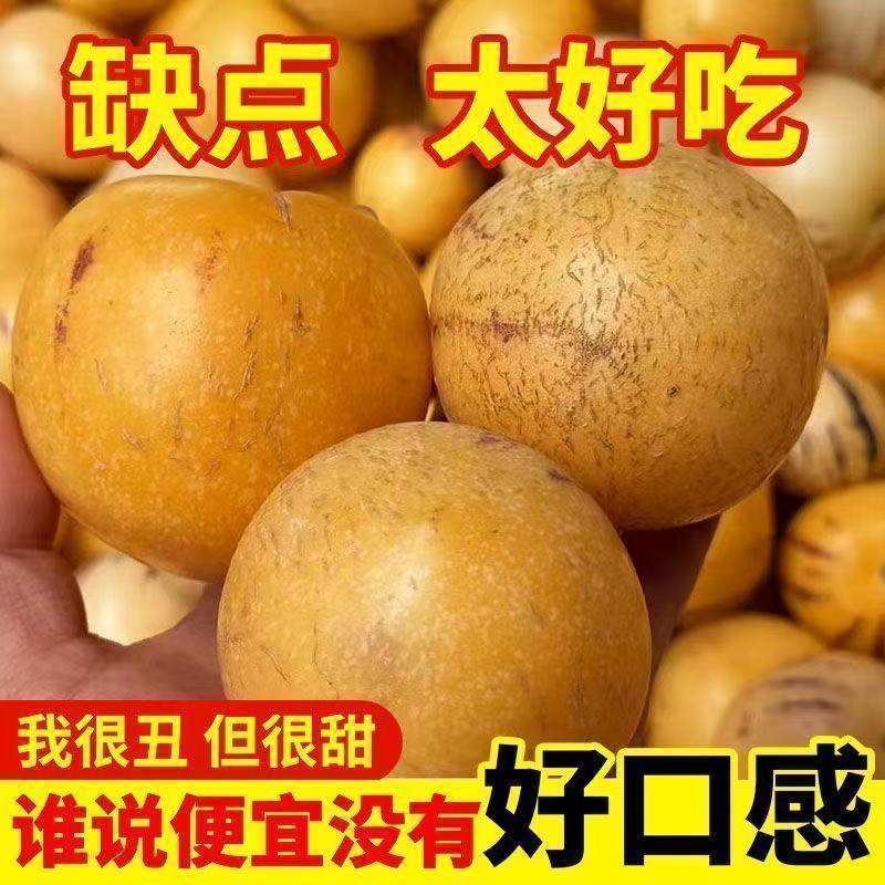 【花皮果】云南人参果黄肉圆果果树上自然成熟清甜多汁当季水果