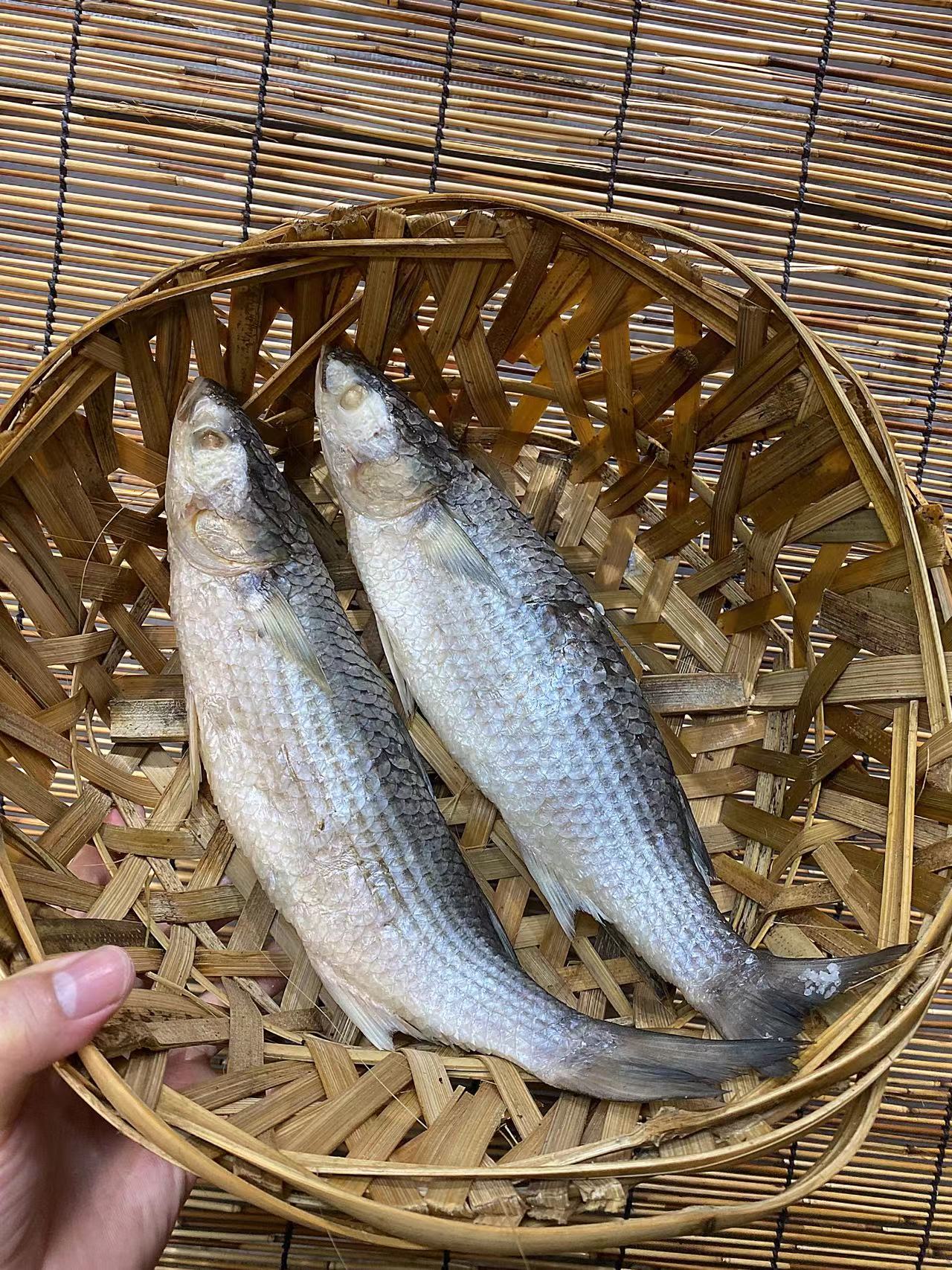 潮汕新鲜乌鱼饭日日现鱼现抓