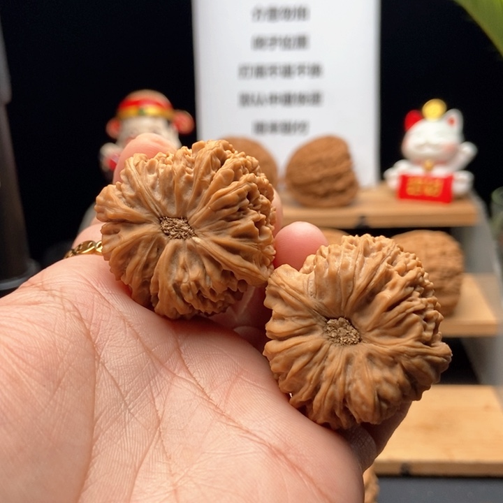 核桃手串/手链晴**李3号 涿鹿南将石