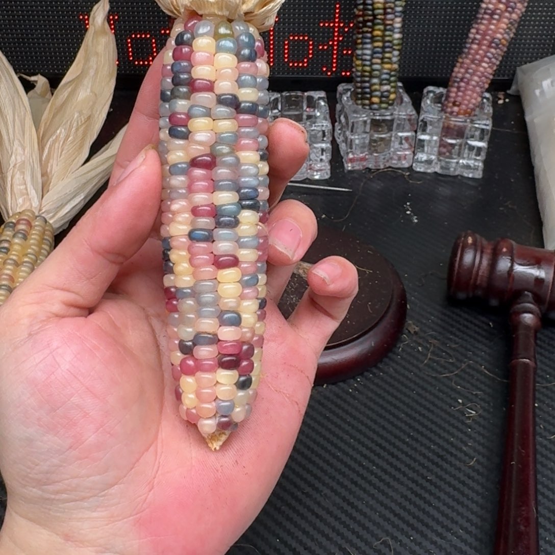 柏香籽/百香籽吊坠精**单