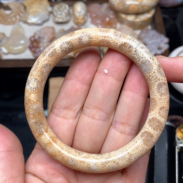 硅化珊瑚（珊瑚玉）手镯未镶嵌58