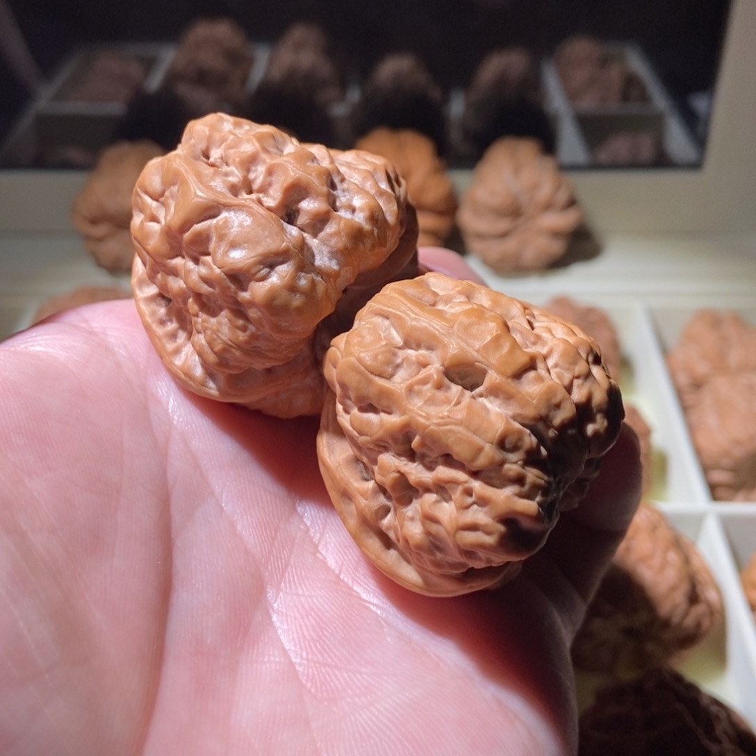 文玩核桃把件星***海41蛤蟆