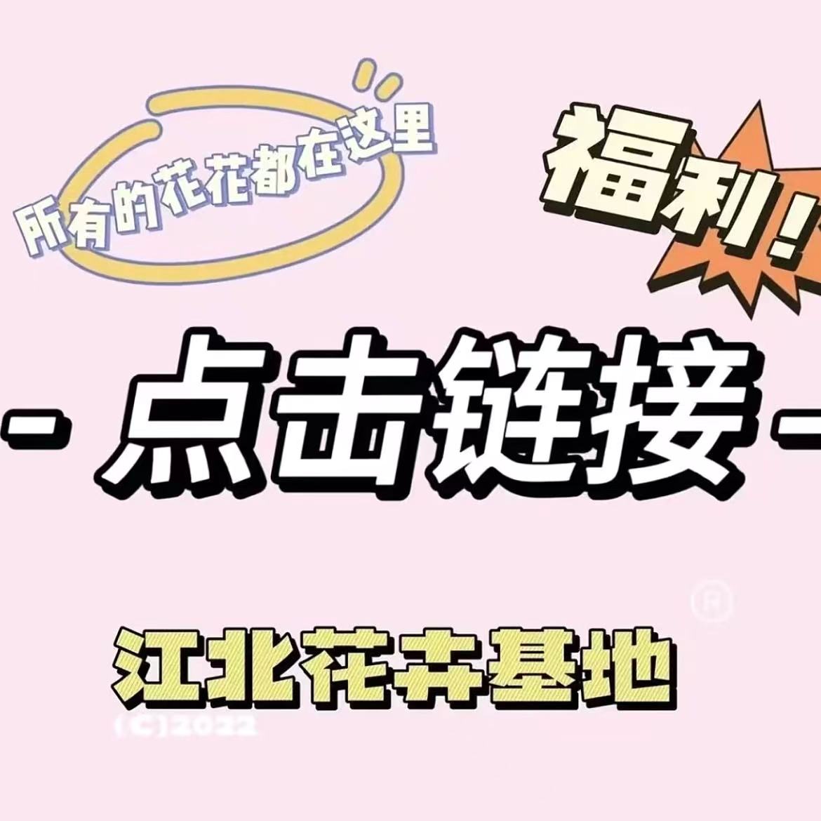 【小璐花园】基地直拍改价链接