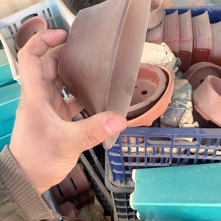 紫砂哈哈真的是太给力太