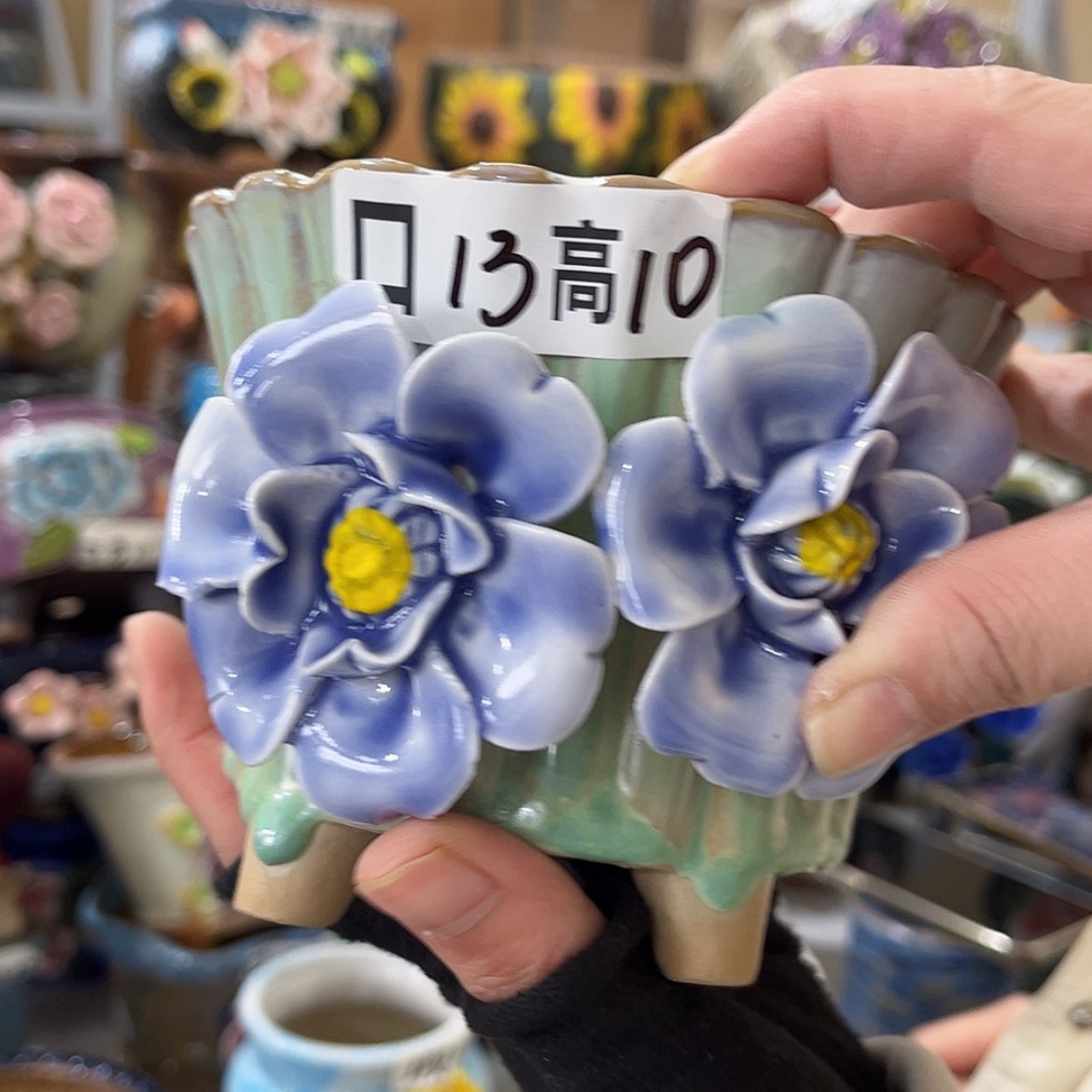 【闪购商品】红陶福利