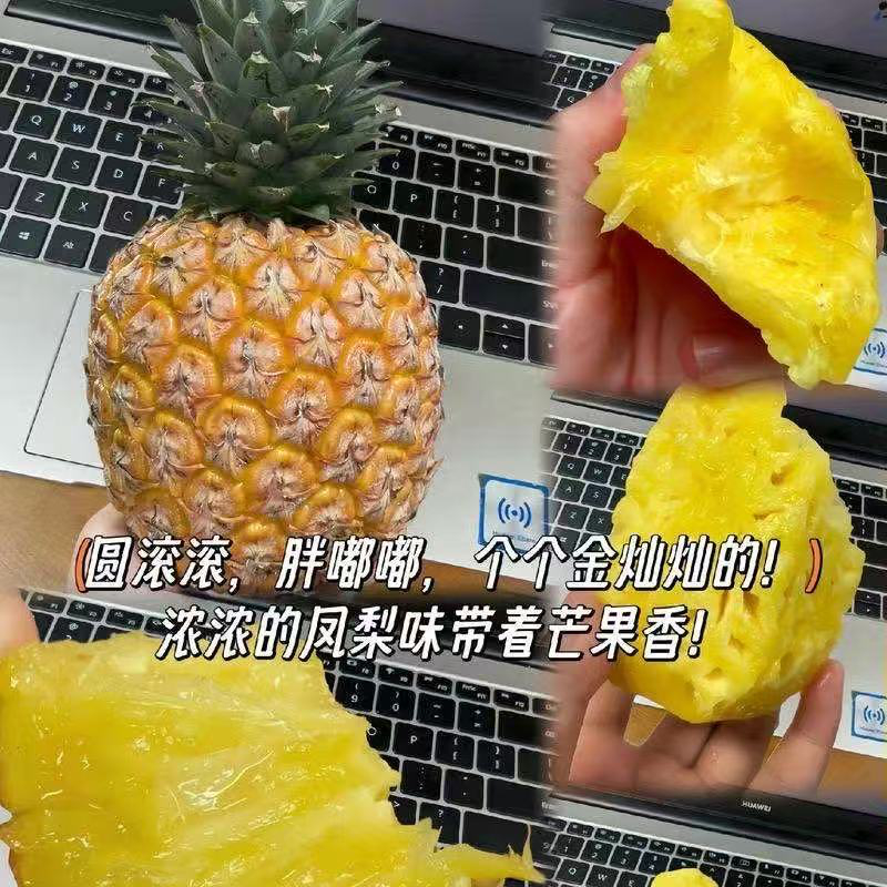 海南空运【芒果凤梨】3个5斤；拥有芒果香气的凤梨果肉金黄水灿 浓郁芳香新鲜