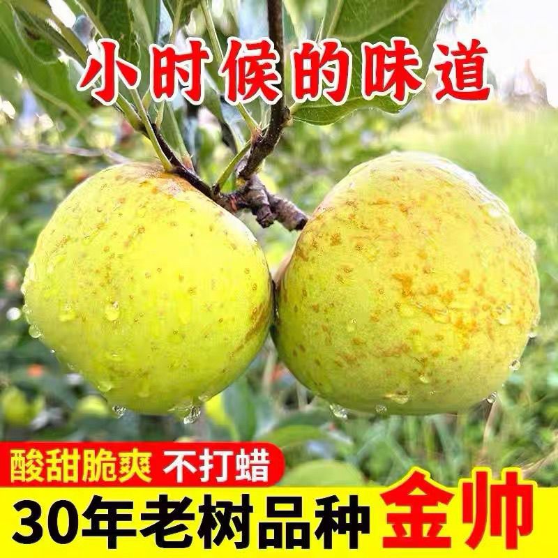 (粉面香甜）正宗老金帅苹果青粉面香甜开胃多汁适合孕妇食用