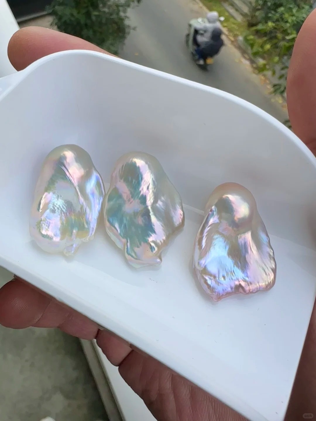 今日福利极光白色巴洛克（活体开蚌不退不换）可定制DIY定制成品