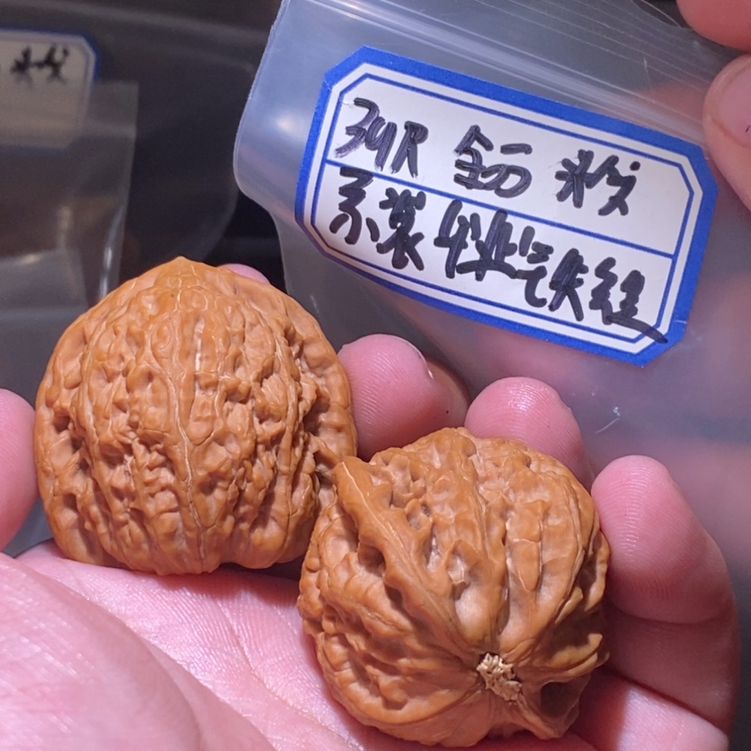 文玩核桃吊坠39全品铁锤