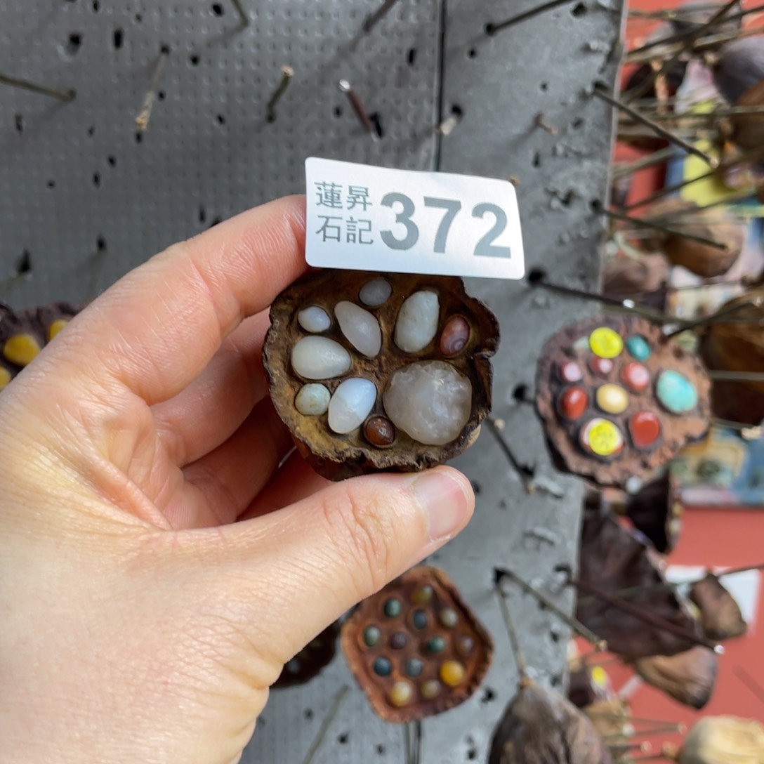 核桃木/黑胡桃（胡桃木）夏*372