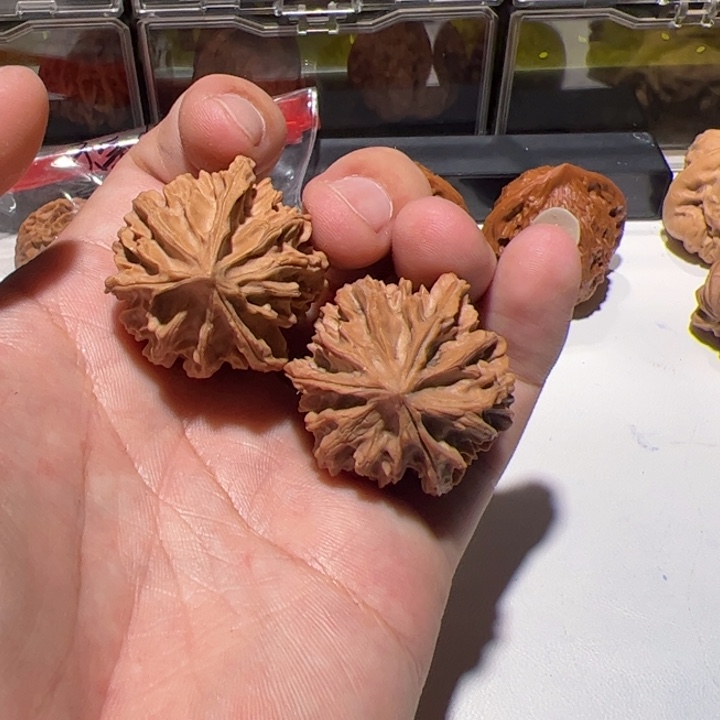 三棱天地的一年后我们