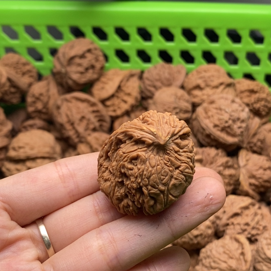 褚***壮文玩核桃把件定制商品不退不换