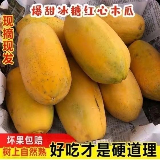 珠海冰糖水果木瓜甜爆了汁水充足自然熟