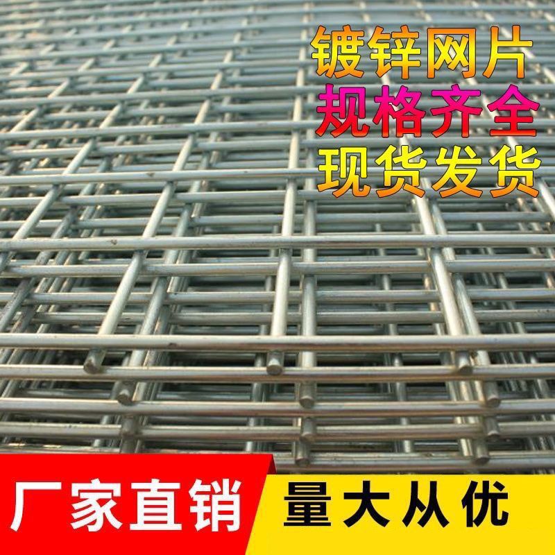 1.5厘米小孔鸽舍鸟笼镀锌铁丝网片养殖网狗笼地防腐防锈防黄鼠狼