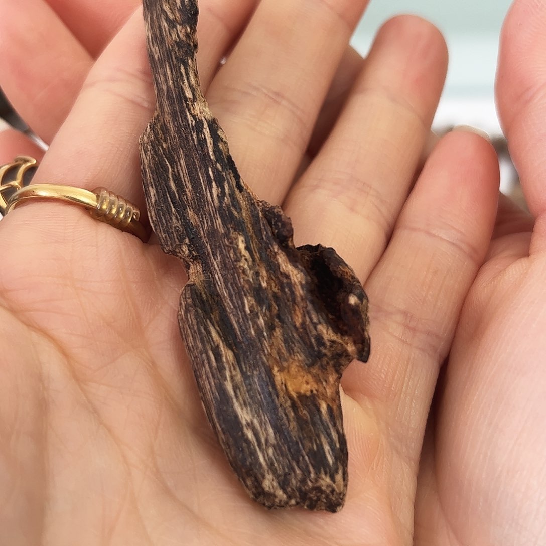 沉香沉香碎屑加里曼丹沉水品香料 5.8g