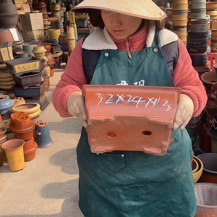 紫砂花盆盆栽花卉苗木种植