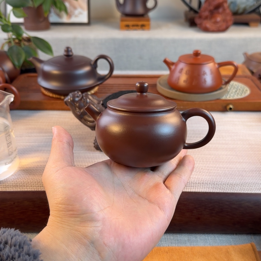 茶壶紫砂紫砂紫砂紫砂紫砂鸿