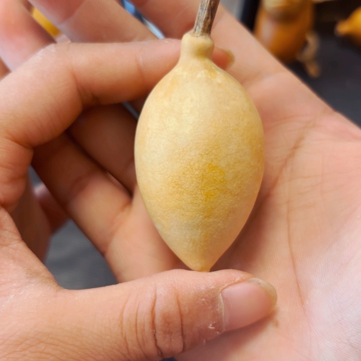 布*哥8888888888888888888