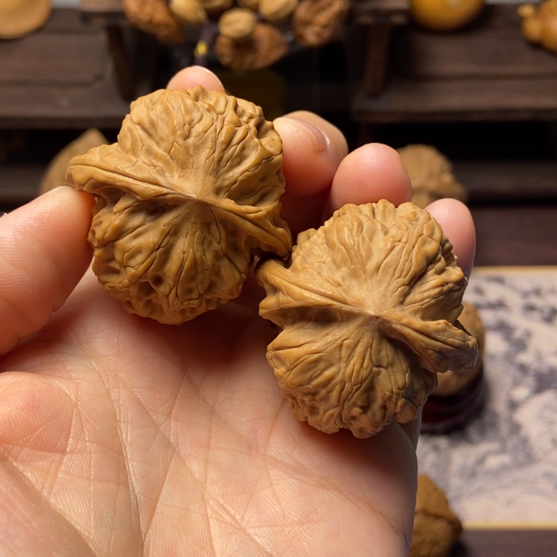 文玩核桃把件全品野狼尺寸40