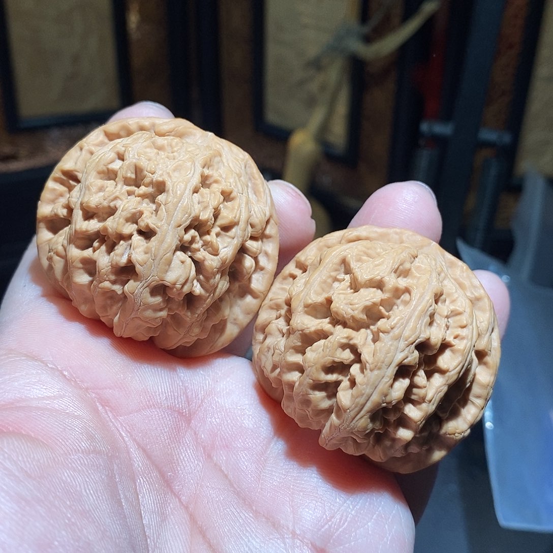 文玩核桃把件46大粗筋全品