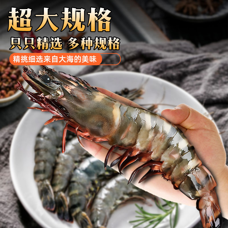 黑虎虾无冰3斤精品礼盒老虎虾连云港发货孩子孕妇宝妈推荐营养虾