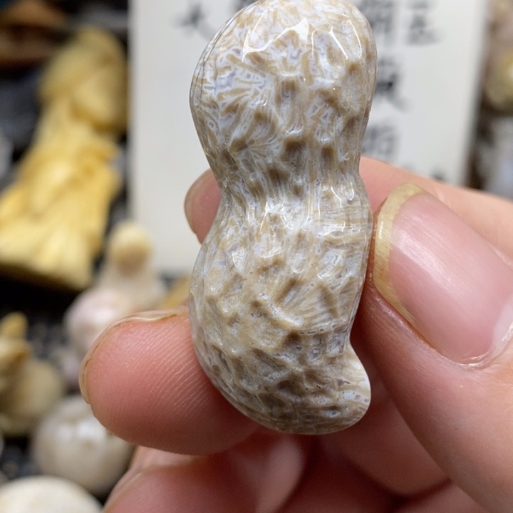 硅化珊瑚（珊瑚玉）未镶嵌颈饰