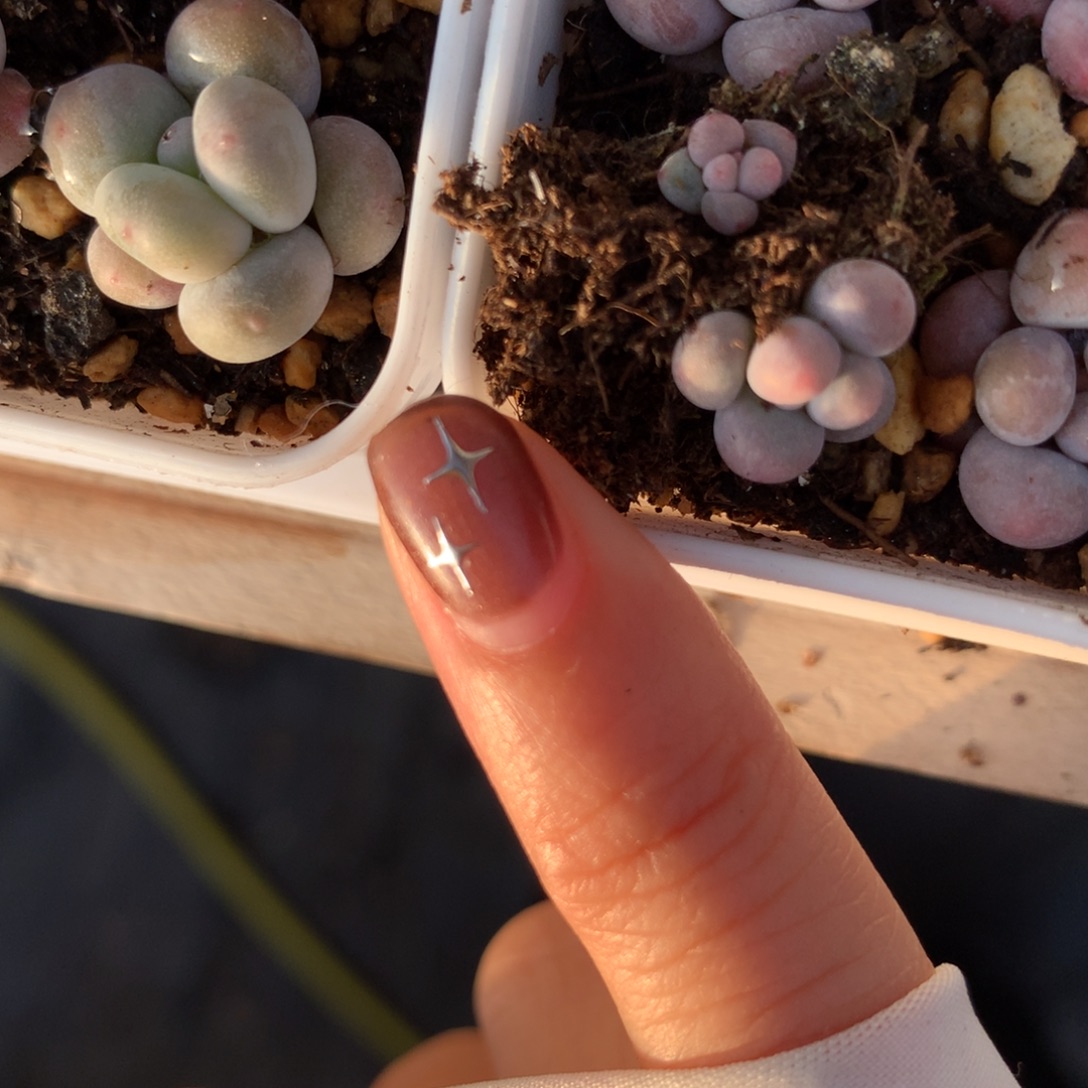 1cm左右 嚯哈哈哈哈哈