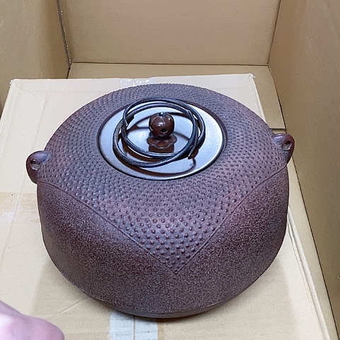 紫砂哈哈哈哈哈哈哈哈