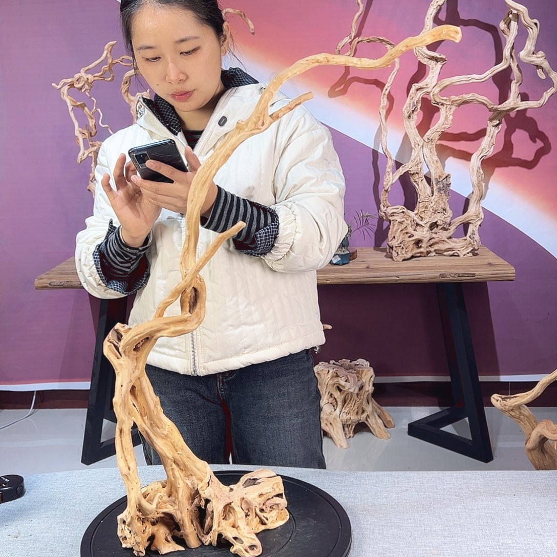 我***呀木天热杜鹃根根艺摆件