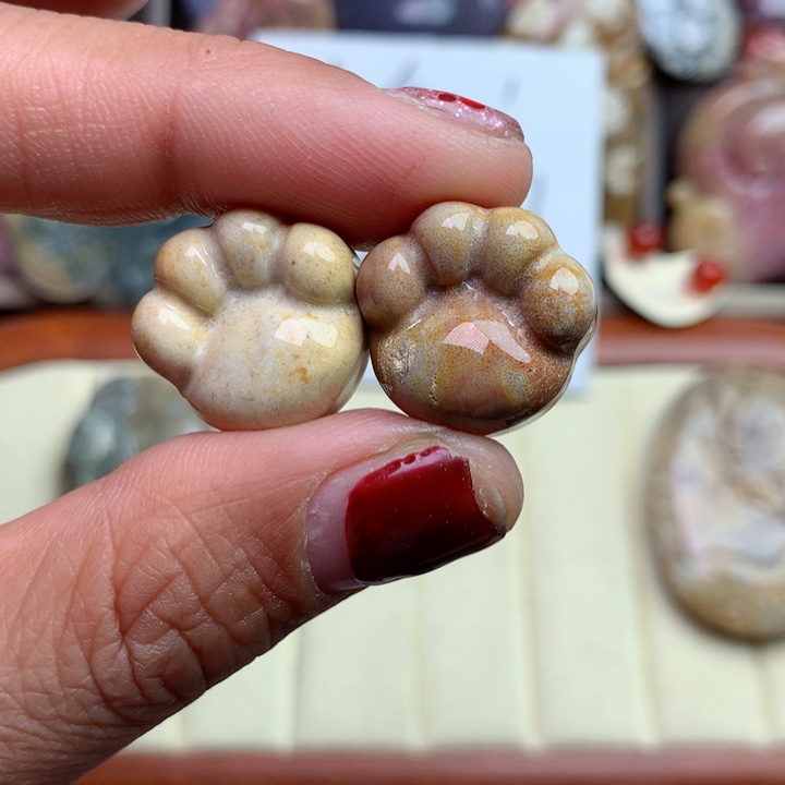 硅化珊瑚（珊瑚玉）颈饰未镶嵌