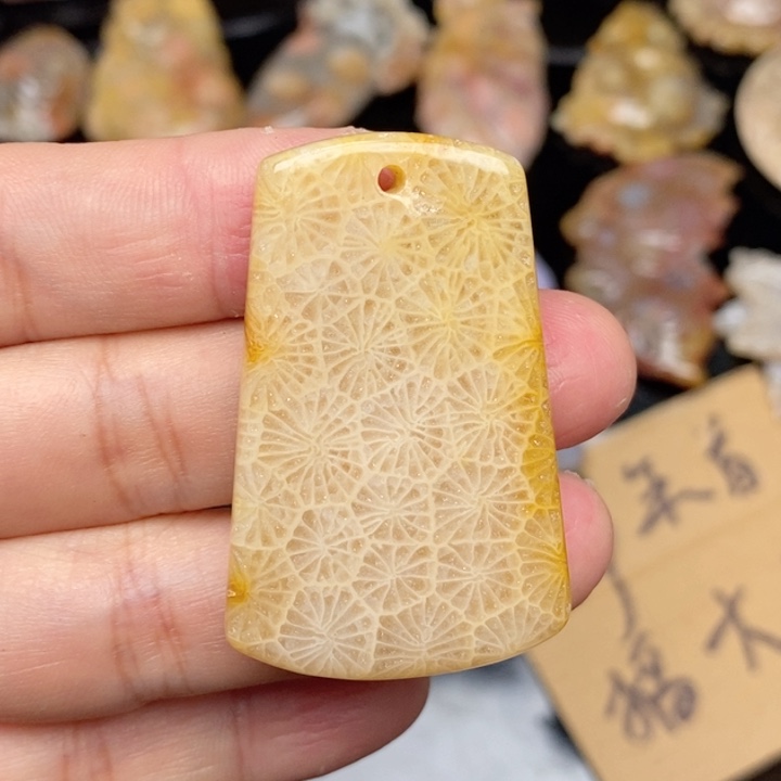 硅化珊瑚（珊瑚玉）手镯未镶嵌