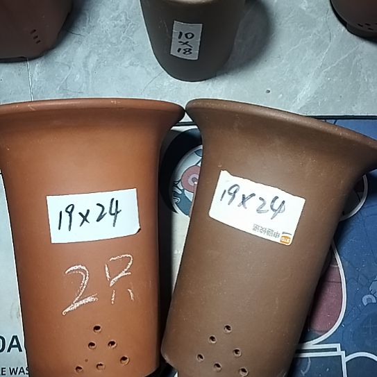 紫砂大红大紫兰花两个