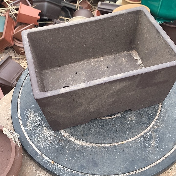 紫砂你要努力赚钱吧