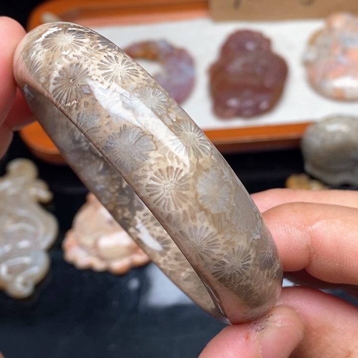 硅化珊瑚（珊瑚玉）颈饰未镶嵌58