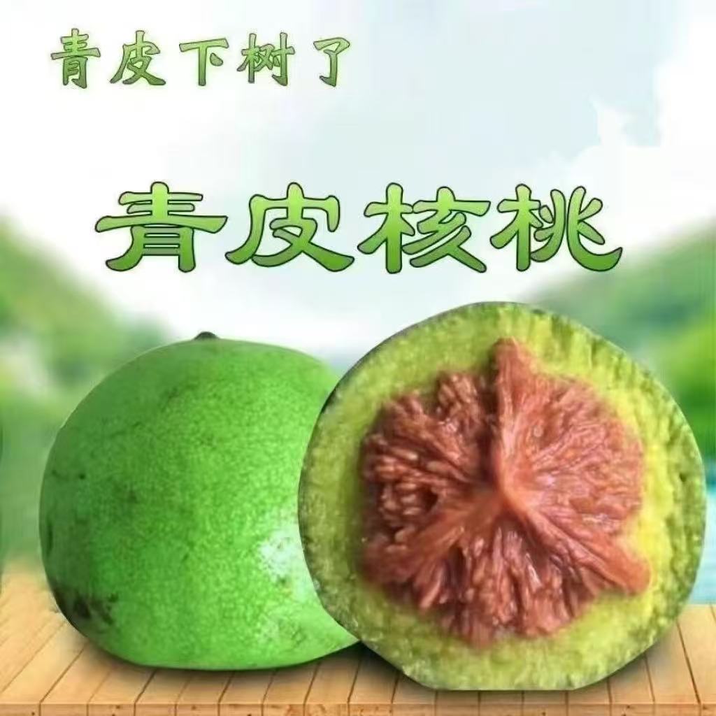 正宗涞水麻核桃 新下树 各种品种青皮