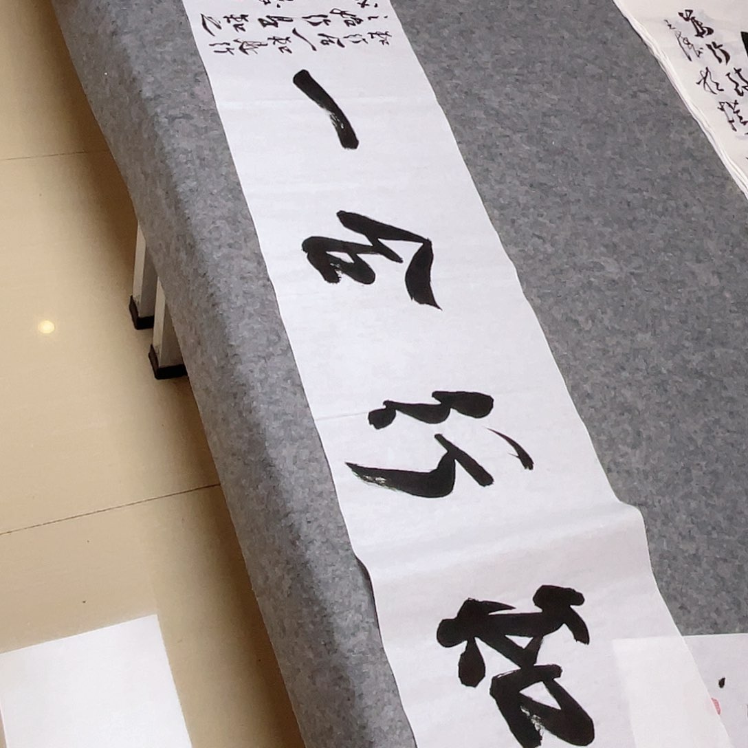 书法中书协会员王涛138+34