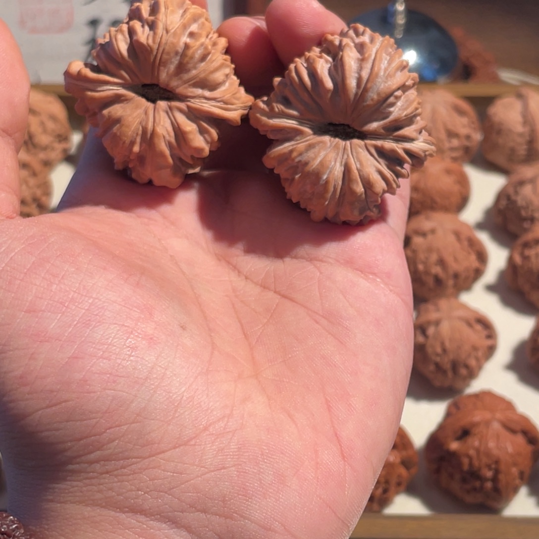 42拱桥楼四座楼全品