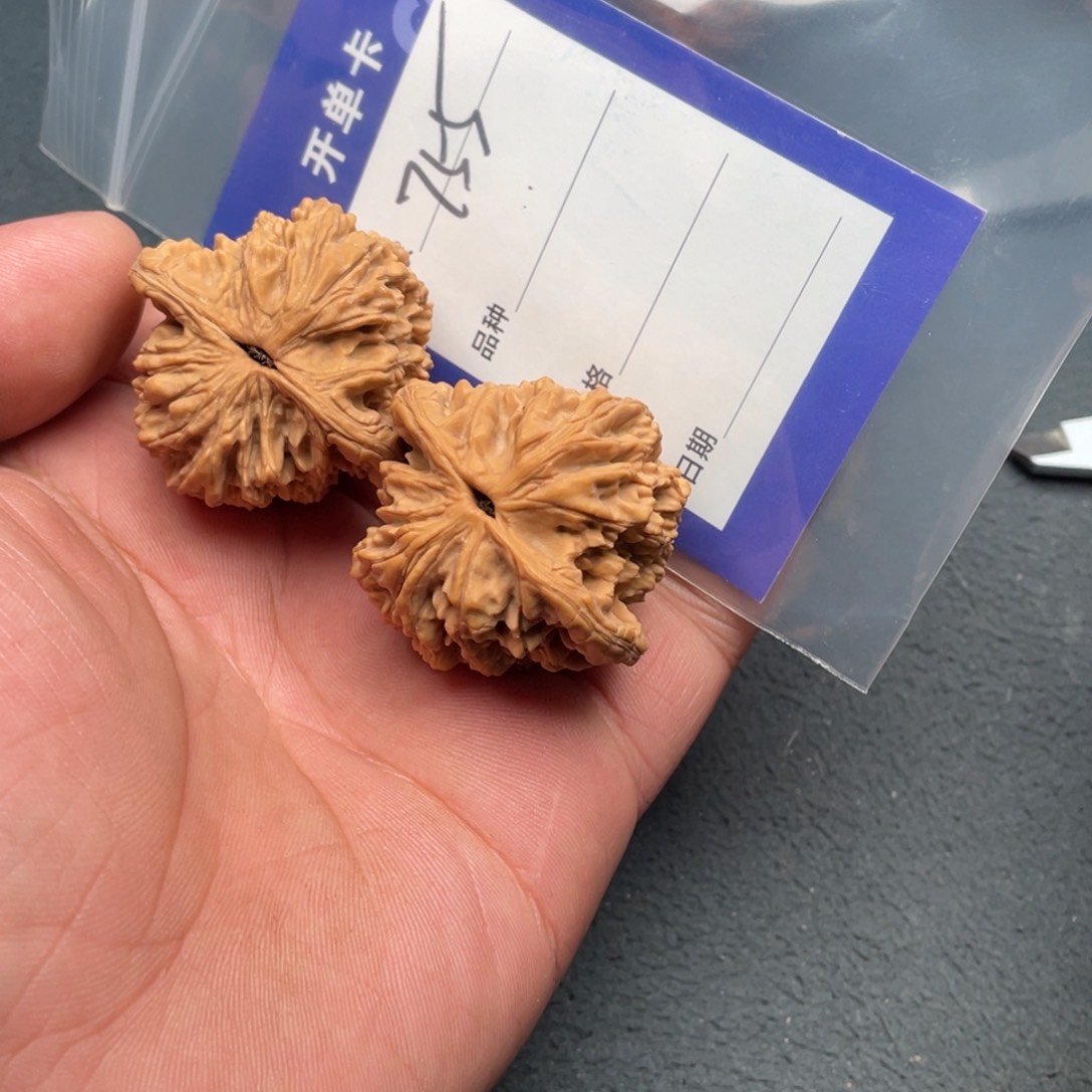 核桃把件41麦虎，755号