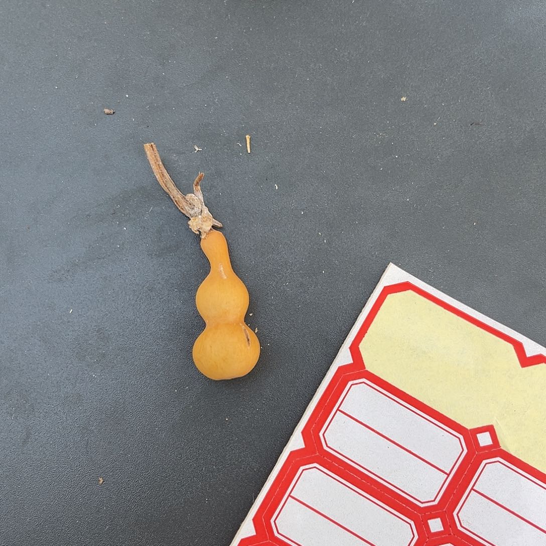 何***下18588888888855855