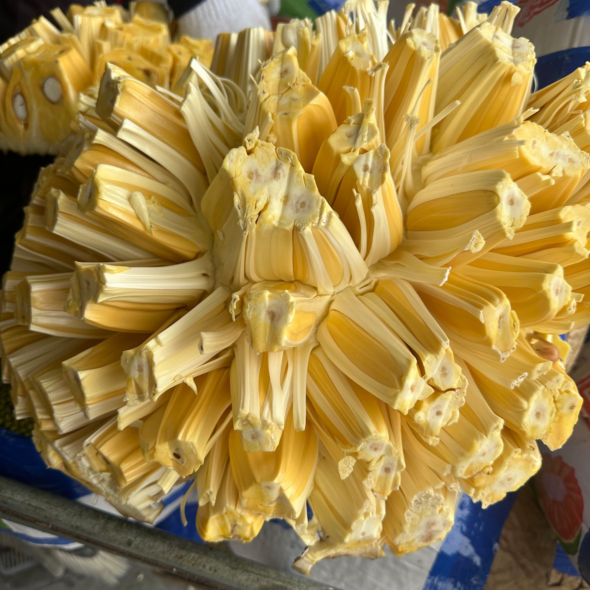 【次日达】越南黄肉菠萝蜜 整果带壳鲜果6-8斤起拍 现开现发鲜甜可口 果香浓郁1黄肉菠萝蜜越南社会主义共和国