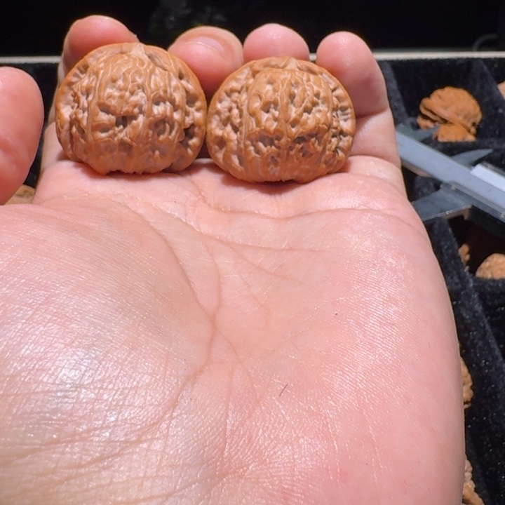 文玩核桃吊坠白狮子