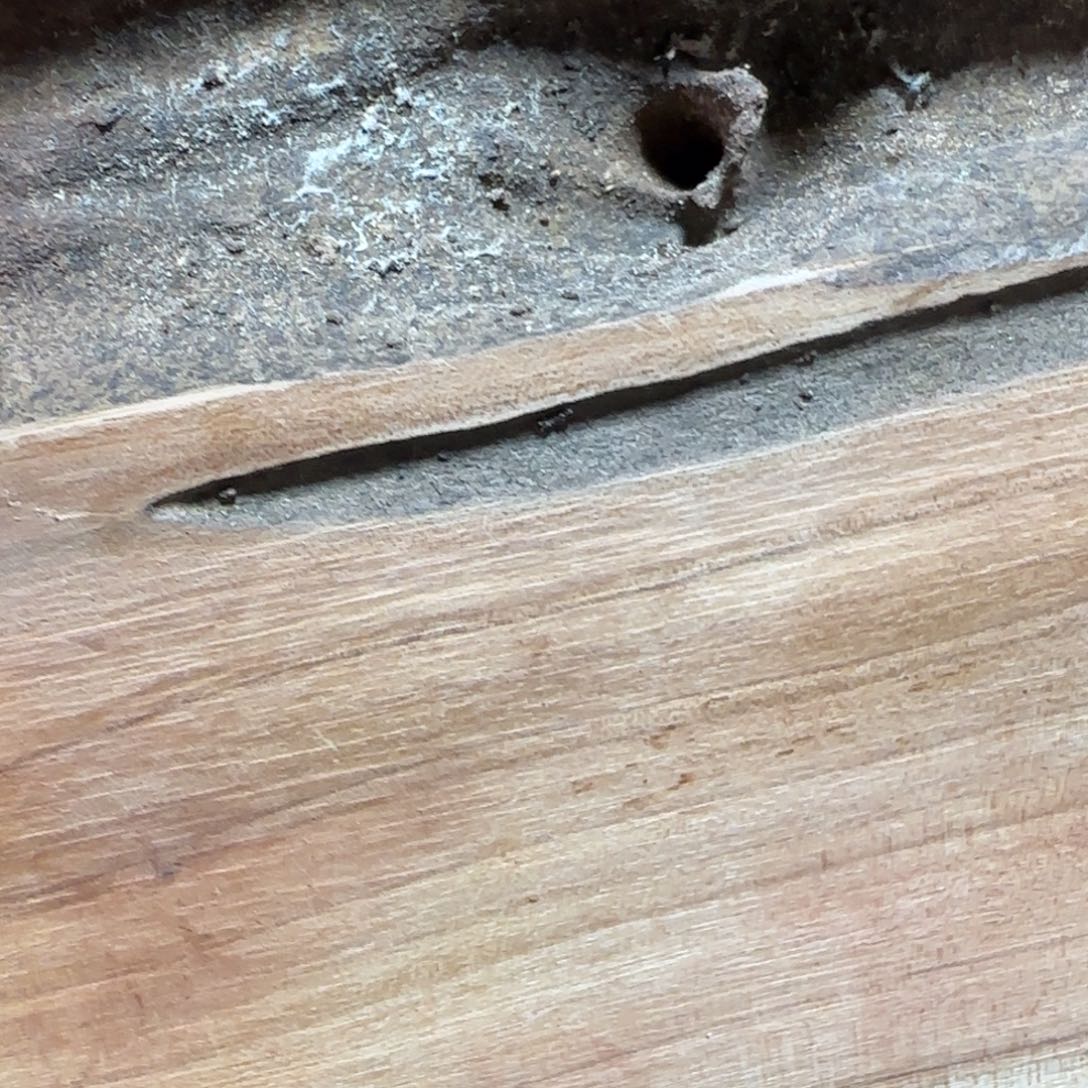 猫***狗檀香紫檀（小叶紫檀）