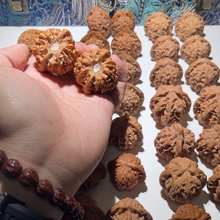 ****手大叶紫檀（黑酸枝木类）