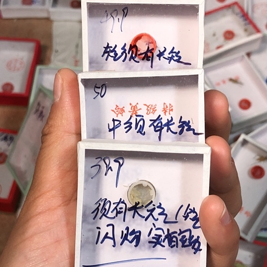 一***娆蟋蟀33333333333333