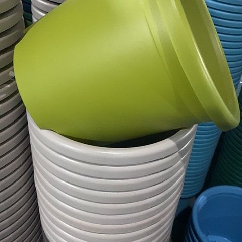 树脂四季4号微瑕果绿无托8个